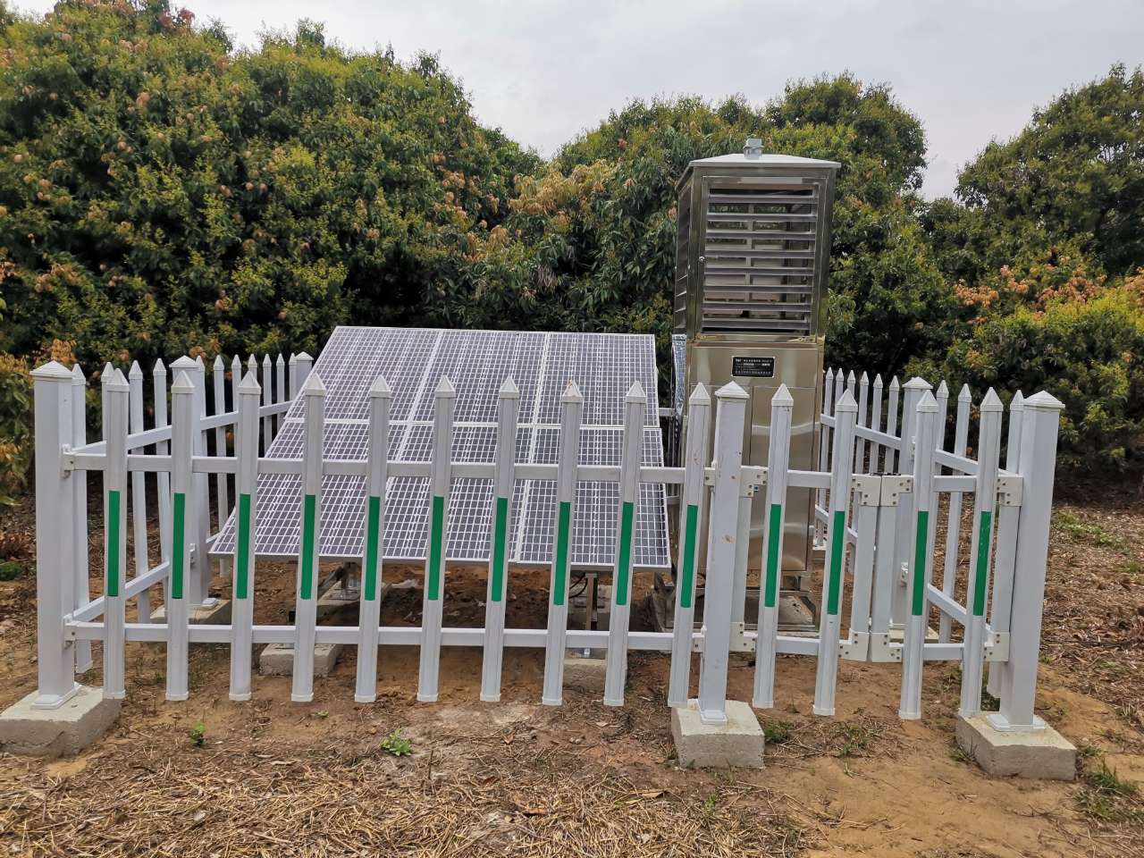  建标准基地，育富民产业：新疆农源高科虫情测报灯走进广东荔枝生产基地